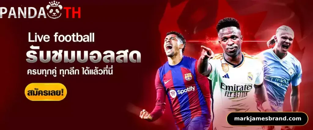 สมัคร pandath รับโปรสมาชิกใหม่